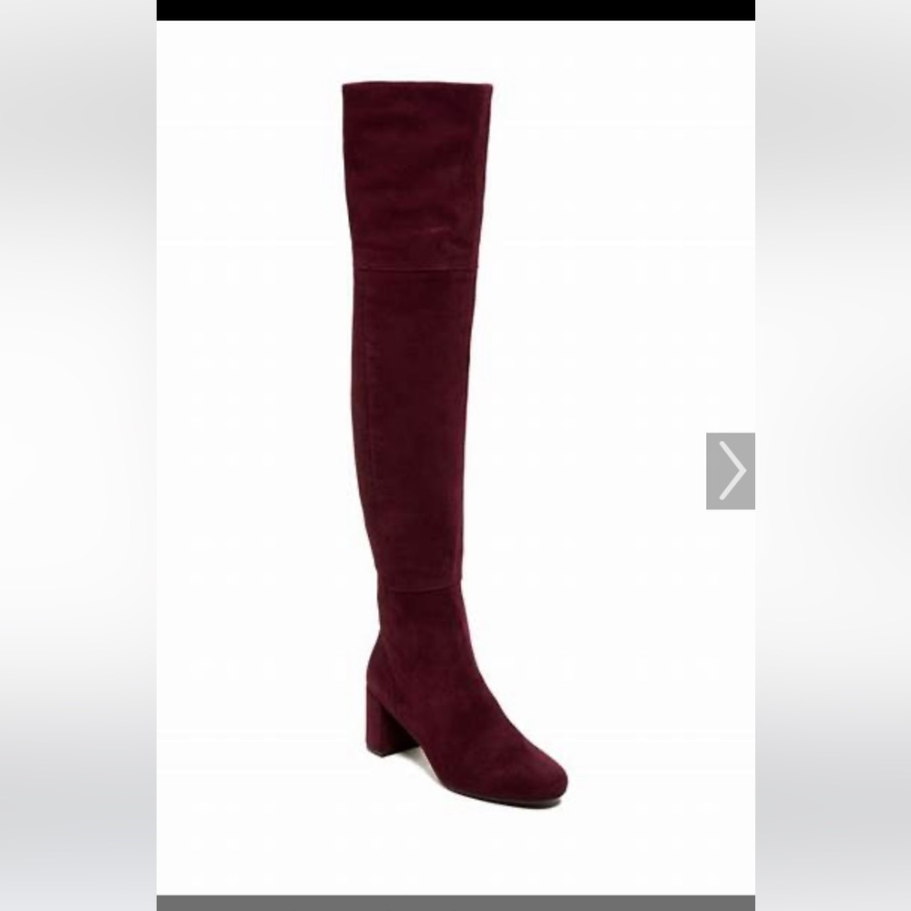 Taryn Rose Burgundy Over the Knee boots size 9. Excellent condition.